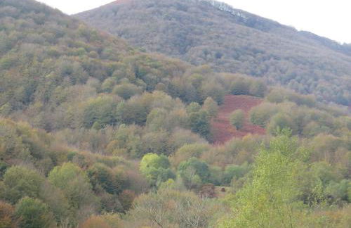 CASA RURAL Urruska - Foto 51