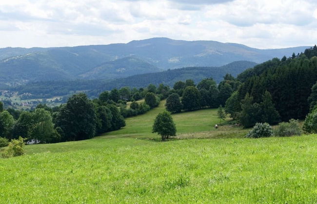 Classy Apartment in Soultzeren - Photo 8