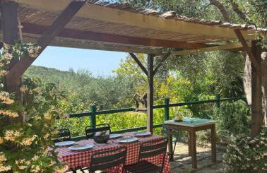 Villa Capalbio - Foto 45