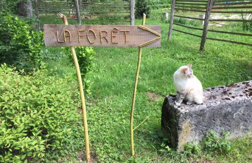 La Tour Hexagonale for 2 with shared pool - Foto 8