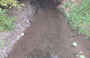 Old house by the stream - Photo 20