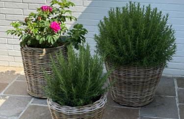 Süderhygge - Foto 23