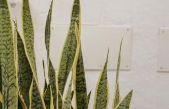 Apart-hotel Acapulco Ocean View - Foto 121