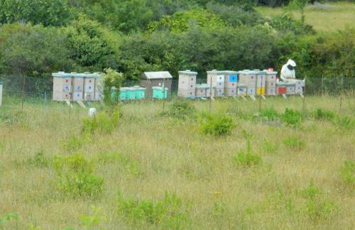 Libera Apartments - Foto 61