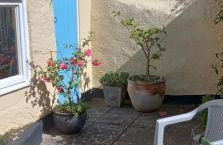 Dolphin Cottage 50m from Shaldon Beach! - Foto 19