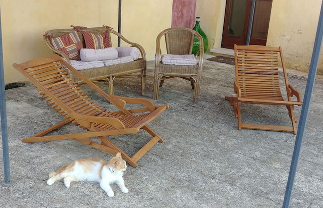 Masseria la Maestà Ospitalità rurale - Foto 54