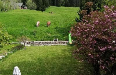 Le grand duc - Foto 11