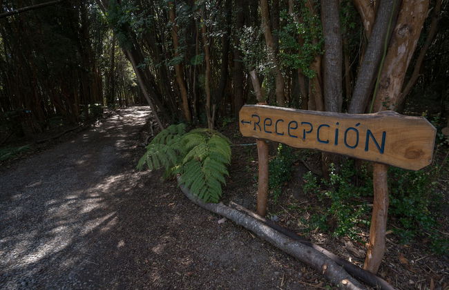 Cabañas Ensenada Bosque Nativo - Foto 29