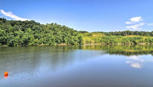 Lake Martin Dock House with Fire Pit, Game Room, Deck - Foto 5