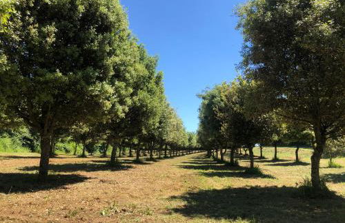 Château des Loups - Les Cèdres Bleus - Foto 37