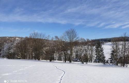 Gasthaus Piesau - Thüringer Wald - Rennsteig - Foto 60