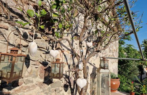 Afroditi's 1 - Photo 74