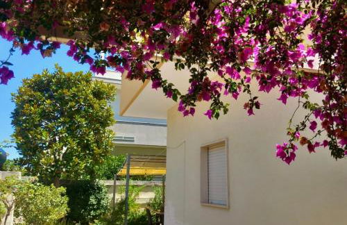 Nonno's Nest - Foto 11