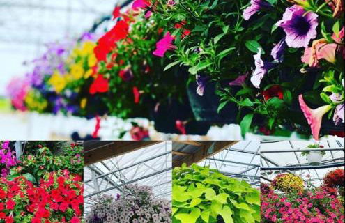 Serene Bourbon Cabin - Foto 39