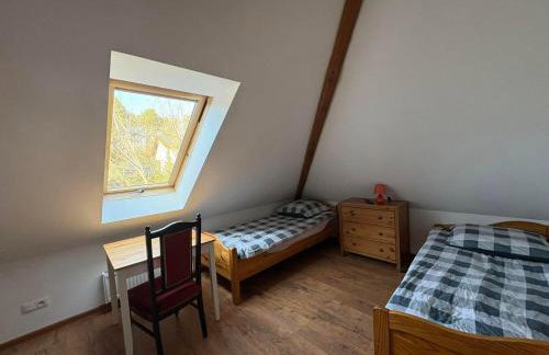 Agroturystyka Traperska Osada - Foto 27