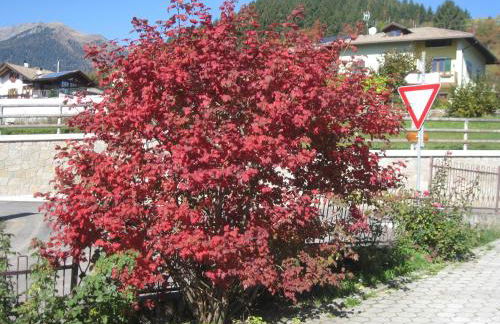 Silvano Fanti - Foto 22