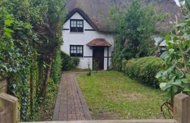 Little Lucy - Foto 1