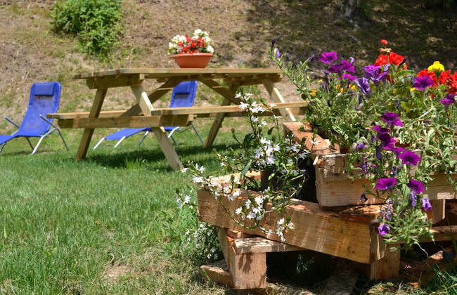 Dalla Natura la Salute - Foto 19