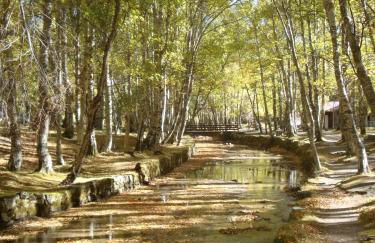 A Primeira Casinha do Mé-Mé - Foto 18