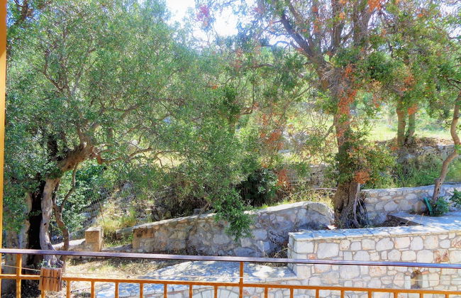 Menina Farm - Photo 58