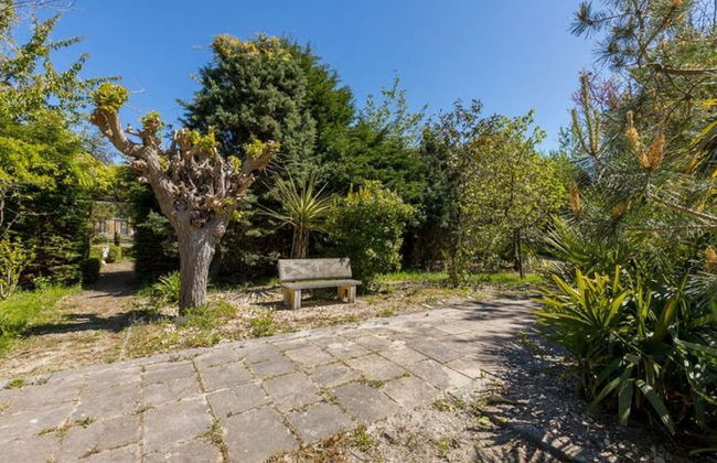 Cozy Chalet in Vrouwenpolder With Garden - Foto 29