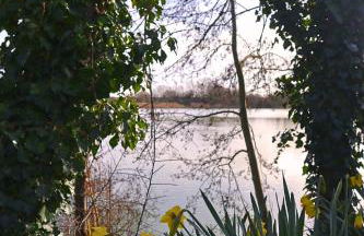 Dragonfly Stays at Lower Lakes - Foto 26