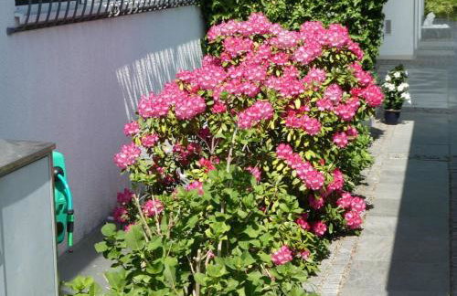 Hanssen in Lindau/lake Constance - Photo 46