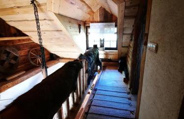 Siedlisko na Groniku - Foto 11