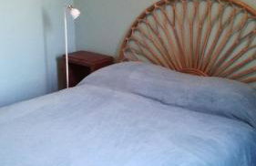 Le chat Moustic - Foto 23