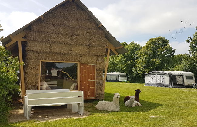 Aan de Waterspiegel - Photo 19