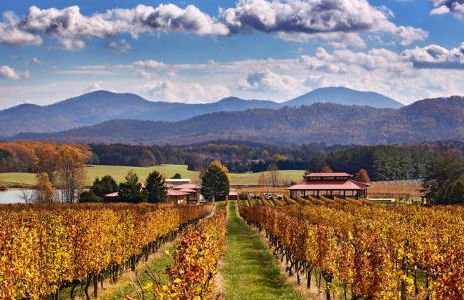 Afton Clubhouse - Foto 39