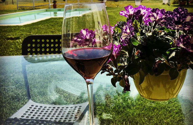 Monte dos Pocos Agroturismo - Foto 2