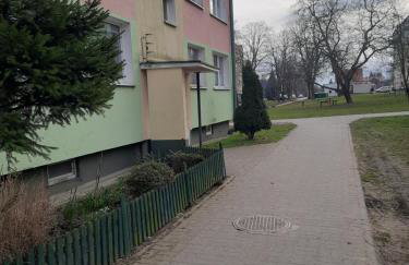 Family Suite Świecie - Foto 19