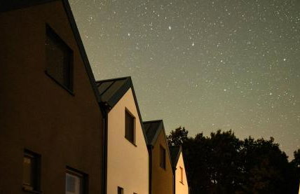 Morski Las - Foto 15