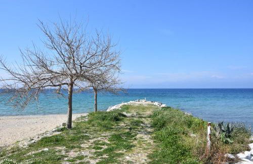 Casa Valesa - Photo 8