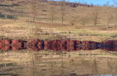 Dimore Granaio nr5 Wine & Countryside Experience, welcome box, free parking & pool - Photo 50