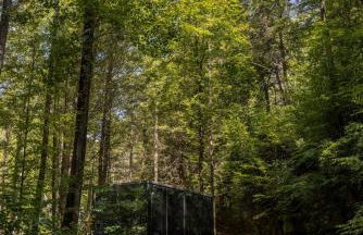 Modern Mirror Home w/ Hot-tub - “Glass House” #1 - Foto 15