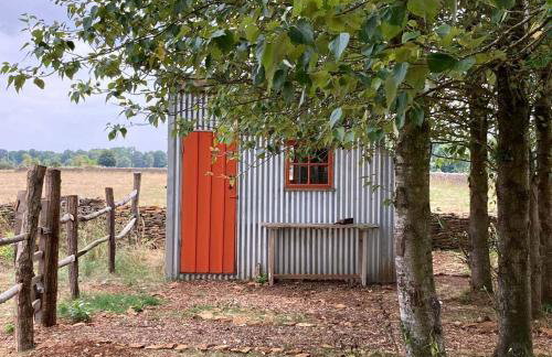 Secluded off grid Shepherd's Hut - Photo 18