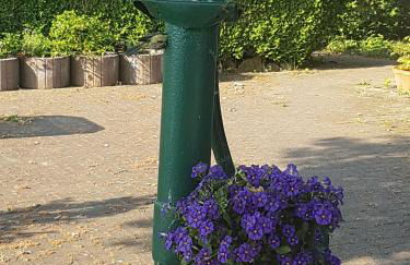 Kranichhof - Foto 32