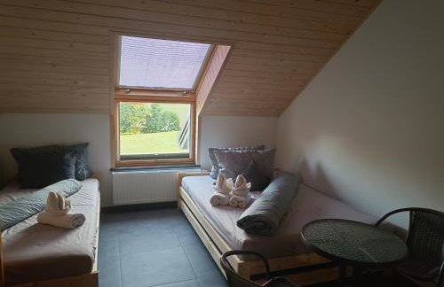 Agroturystyka Żuczek nad jeziorem - Foto 18