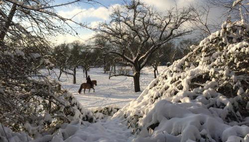 Dichterhaus Dresden - Foto 3