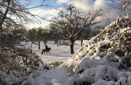 Dichterhaus Dresden - Foto 3