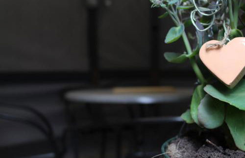 Waldtraum Wendland - Foto 14