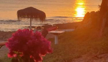 Casa Galene - Photo 2