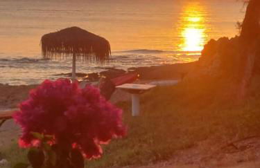 Casa Galene - Foto 2