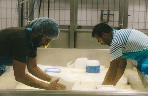 Agriturismo Le Case di Quarantotti - Foto 25