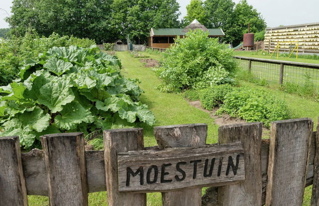 Apartment in Netherlands With Scenic Meadows - Photo 16