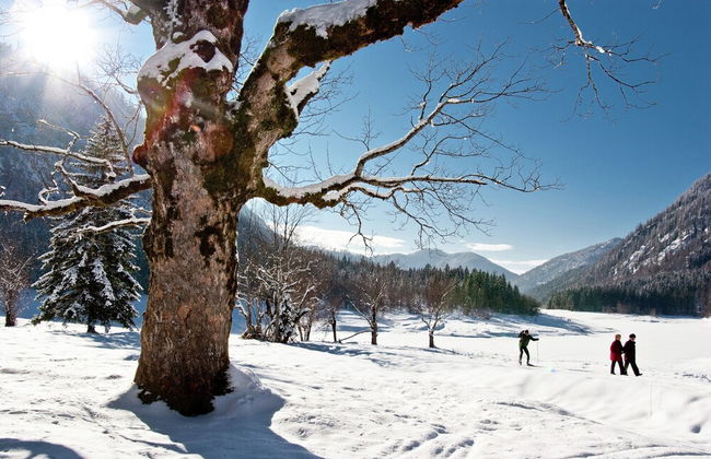 Ferienwohnung in Ruhpolding - Foto 38