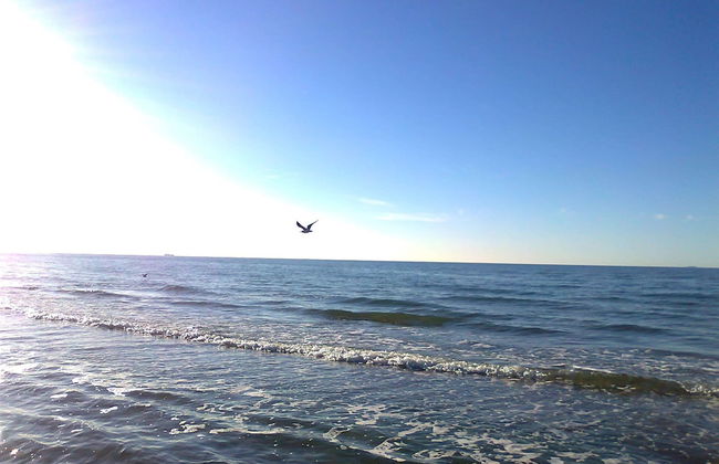 Delightful Bungalow in Rerik near Baltic Sea Coast - Foto 39