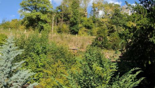 Auszeit im Eibenhaus - Foto 2